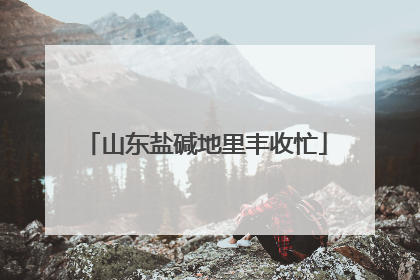 山东盐碱地里丰收忙