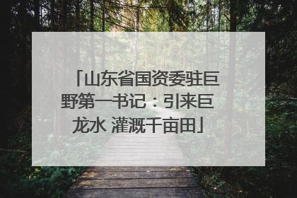 山东省国资委驻巨野第一书记：引来巨龙水 灌溉千亩田