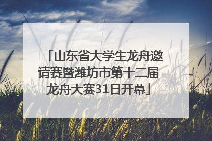 山东省大学生龙舟邀请赛暨潍坊市第十二届龙舟大赛31日开幕