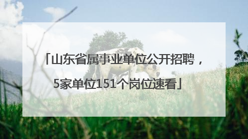 山东省属事业单位公开招聘，5家单位151个岗位速看