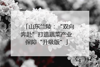 山东兰陵：“双向奔赴”打造蔬菜产业保障“升级版”