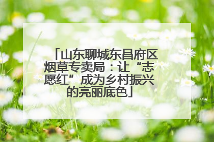 山东聊城东昌府区烟草专卖局：让“志愿红”成为乡村振兴的亮丽底色