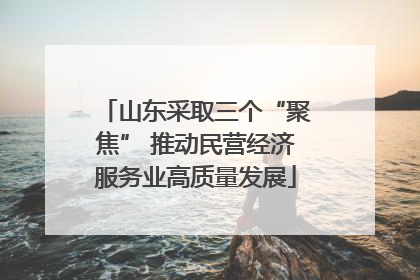 山东采取三个“聚焦” 推动民营经济服务业高质量发展