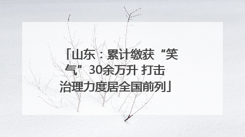 山东：累计缴获“笑气”30余万升 打击治理力度居全国前列