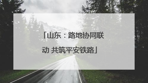 山东：路地协同联动 共筑平安铁路