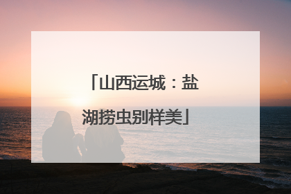 山西运城：盐湖捞虫别样美