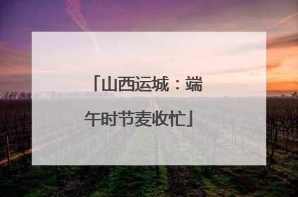 山西运城：端午时节麦收忙