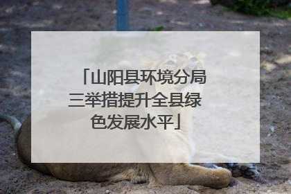 山阳县环境分局三举措提升全县绿色发展水平