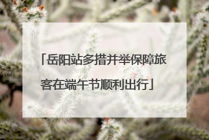 岳阳站多措并举保障旅客在端午节顺利出行