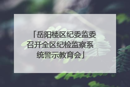 岳阳楼区纪委监委召开全区纪检监察系统警示教育会