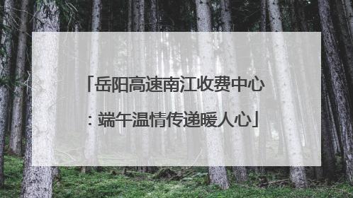 岳阳高速南江收费中心：端午温情传递暖人心