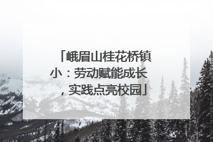峨眉山桂花桥镇小：劳动赋能成长，实践点亮校园