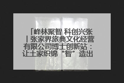 峰林聚智 科创兴张丨张家界旅典文化经营有限公司博士创新站：让土家织锦“智”造出非遗新传奇
