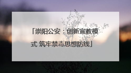 崇阳公安：创新宣教模式 筑牢禁毒思想防线