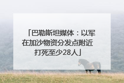 巴勒斯坦媒体：以军在加沙物资分发点附近打死至少28人