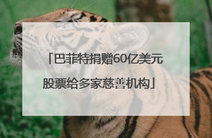 巴菲特捐赠60亿美元股票给多家慈善机构