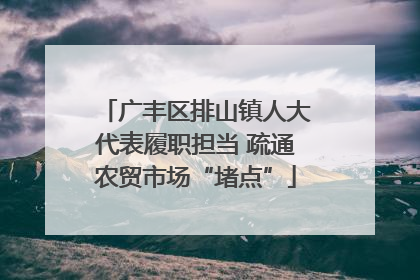 广丰区排山镇人大代表履职担当 疏通农贸市场“堵点”