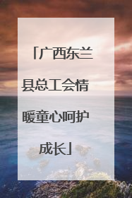 广西东兰县总工会情暖童心呵护成长