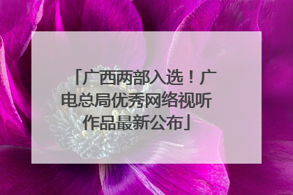 广西两部入选！广电总局优秀网络视听作品最新公布
