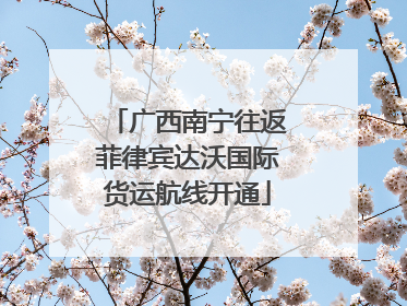 广西南宁往返菲律宾达沃国际货运航线开通