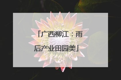 广西柳江：雨后产业田园美