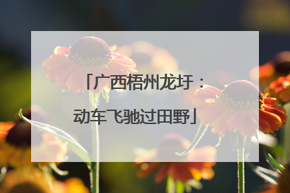 广西梧州龙圩：动车飞驰过田野
