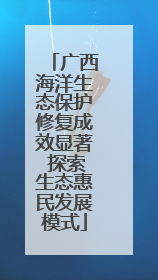 广西海洋生态保护修复成效显著 探索生态惠民发展模式