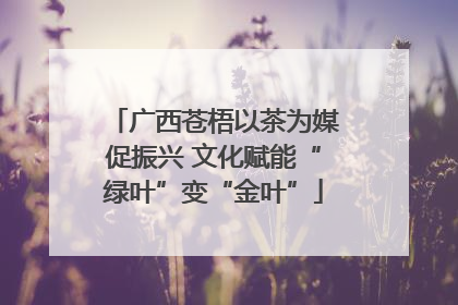 广西苍梧以茶为媒促振兴 文化赋能“绿叶”变“金叶”