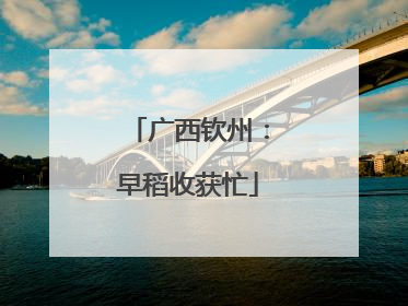 广西钦州：早稻收获忙