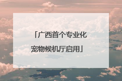 广西首个专业化宠物候机厅启用