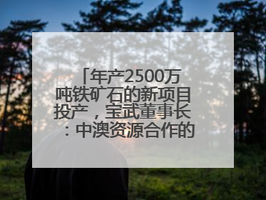 年产2500万吨铁矿石的新项目投产，宝武董事长：中澳资源合作的里程碑