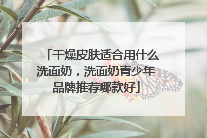 干燥皮肤适合用什么洗面奶，洗面奶青少年品牌推荐哪款好