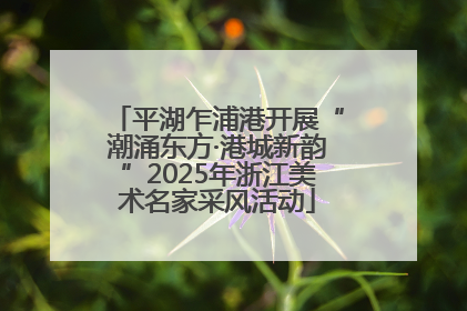 平湖乍浦港开展“潮涌东方·港城新韵”2025年浙江美术名家采风活动