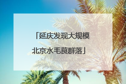 延庆发现大规模北京水毛茛群落