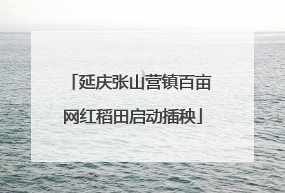 延庆张山营镇百亩网红稻田启动插秧