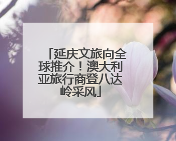 延庆文旅向全球推介！澳大利亚旅行商登八达岭采风