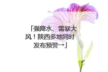 强降水、雷暴大风！陕西多地同时发布预警→