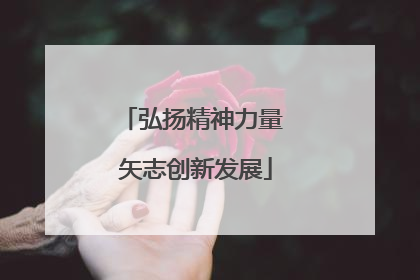 弘扬精神力量 矢志创新发展