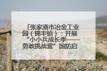 张家港市冶金工业园（锦丰镇）：开展“小小兵成长季——勇敢挑战营”国防启蒙教育活动