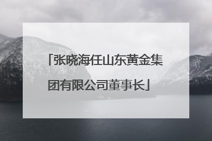 张晓海任山东黄金集团有限公司董事长