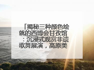揭秘三种颜色绘就的西博会甘孜馆：沉浸式观赏非遗歌舞展演，高原美味从头吃到尾