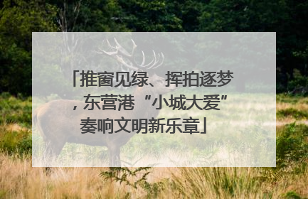 推窗见绿、挥拍逐梦，东营港“小城大爱”奏响文明新乐章