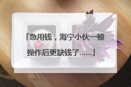 急用钱，海宁小伙一顿操作后更缺钱了……