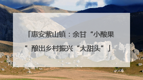 惠安紫山镇：余甘“小酸果”酿出乡村振兴“大甜头”