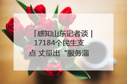 感知山东记者谈｜17184个民生支点 丈量出“服务淄博”的文明温度