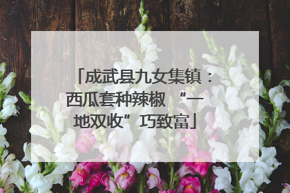 成武县九女集镇：西瓜套种辣椒 “一地双收”巧致富