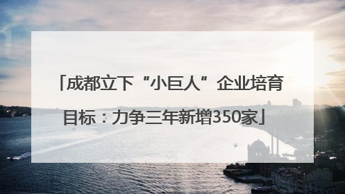 成都立下“小巨人”企业培育目标：力争三年新增350家