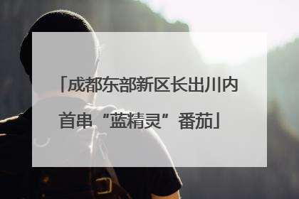 成都东部新区长出川内首串“蓝精灵”番茄