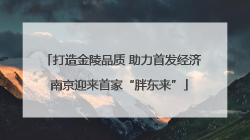 打造金陵品质 助力首发经济 南京迎来首家“胖东来”