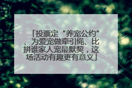 投票定“养宠公约”、为爱宠做牵引绳、比拼谁家人宠最默契，这场活动有趣更有意义